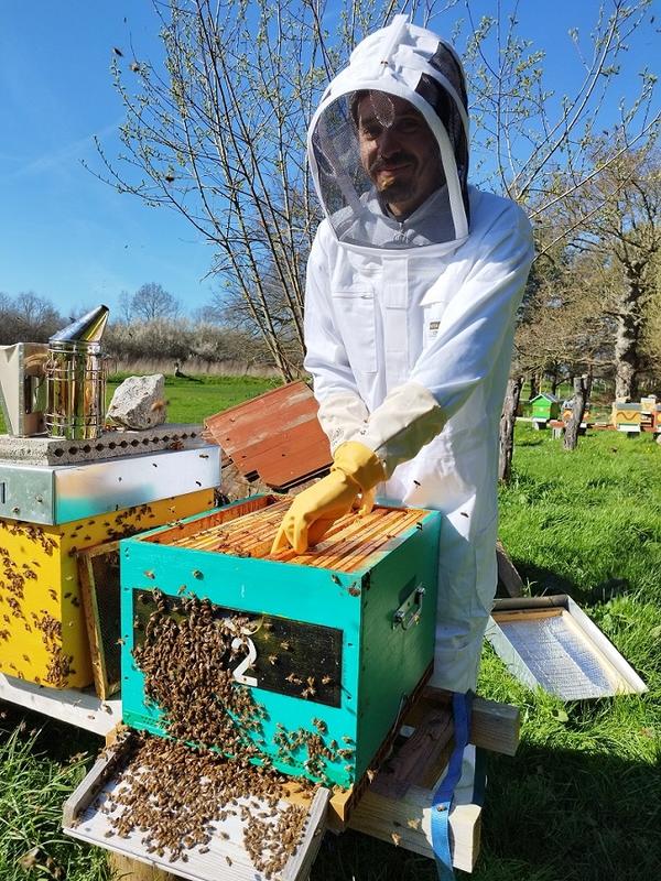 Partager les gestes de l’apiculteur !