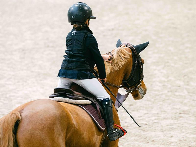 Concours de saut d'obstacles : Championnat de France des As
