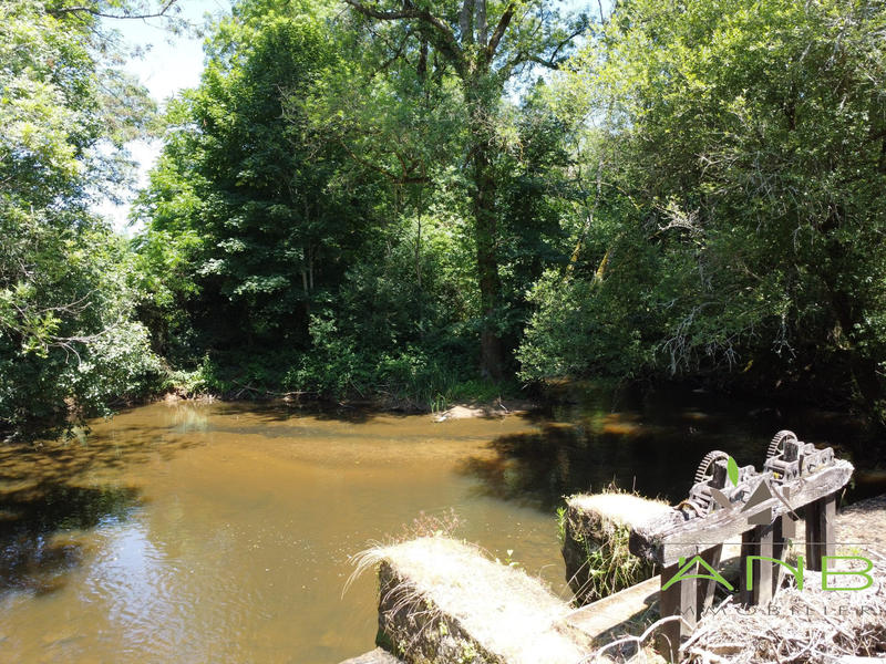 Maison ancienne - 191 m² - 5 pièces