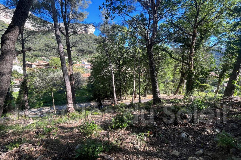 Terrain - 21 500 m²