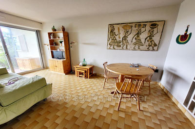 Appartement - 37 m² - 2 pièces