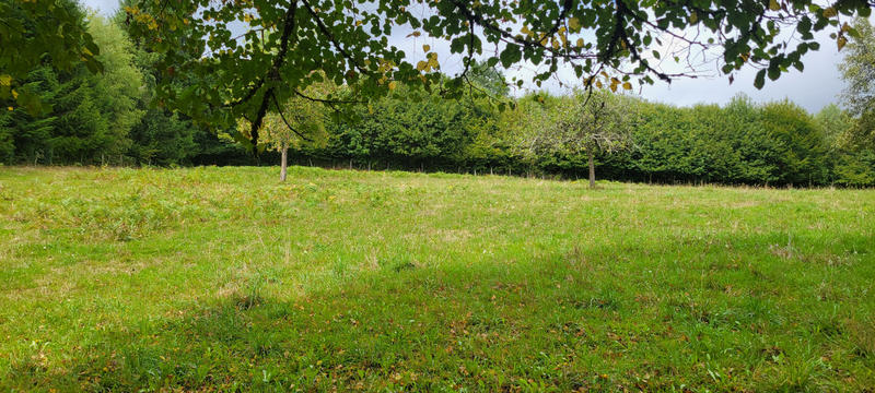 Maison - 62 m² - 3 pièces