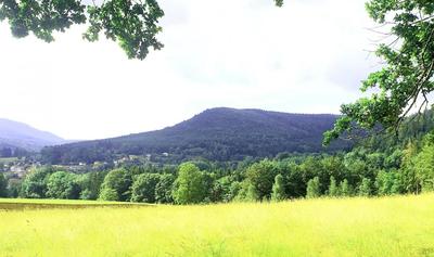 Immeuble - 1 200 m²