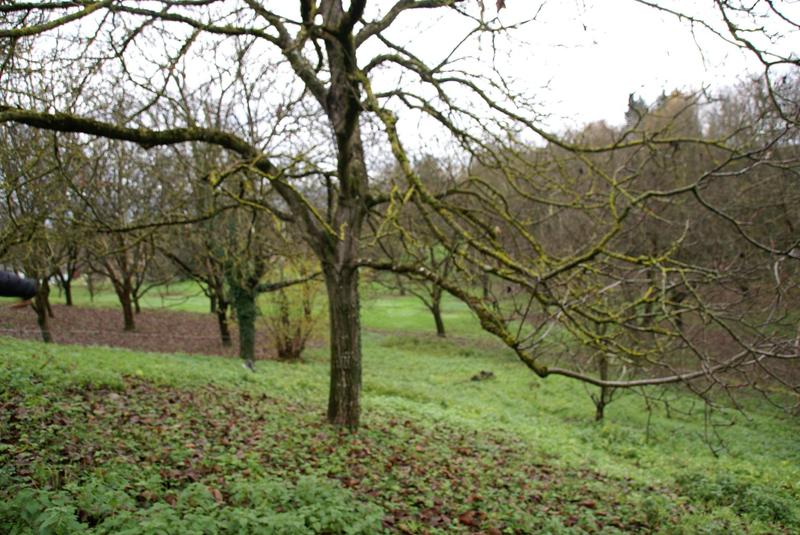 Maison - 450 m² - 12 pièces