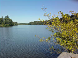 Visite guidée : Sur les traces du blaireau !