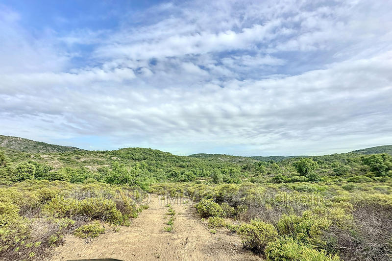 Propriété - 450 m² - 12 pièces