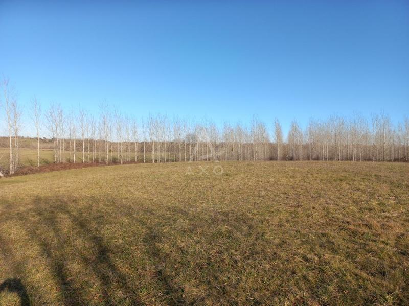 Terrain - 5 000 m²
