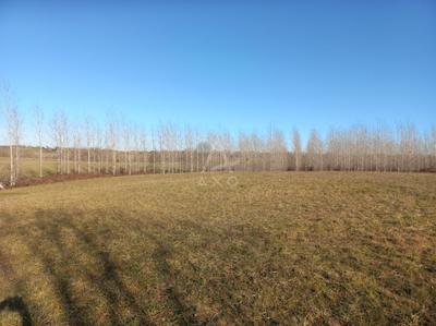 Terrain - 5 000 m²