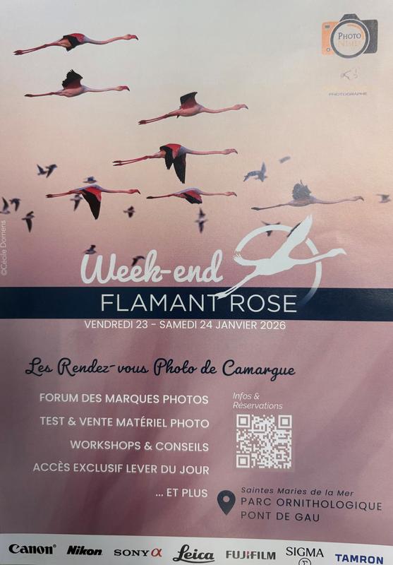 Week-end Flamant Rose - Parc Ornithologique