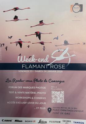Week-end Flamant Rose - Parc Ornithologique
