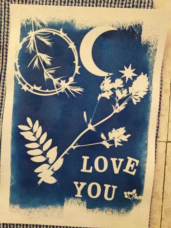 Atelier Cyanotype : l’Art du Bleu Solaire
