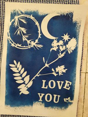 Atelier Cyanotype : l’Art du Bleu Solaire
