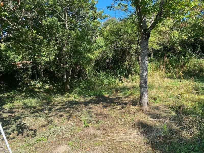 Terrain constructible - 1 294 m²