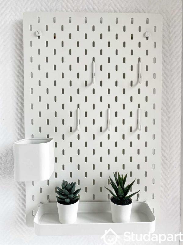 Appartement - 64 m² - 1 pièce