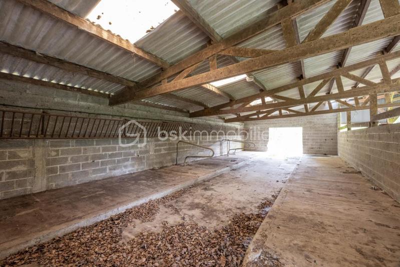 Maison en pierre - 215 m² - 11 pièces