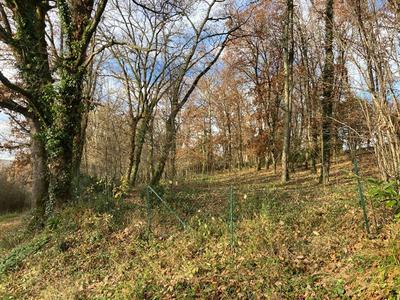 Terrain constructible - 1 515 m²