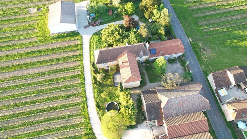 Propriété viticole - 310 m² - 15 pièces