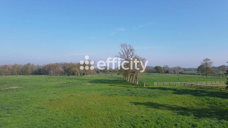 Maison de domaine équestre - 356 m² - 13 pièces