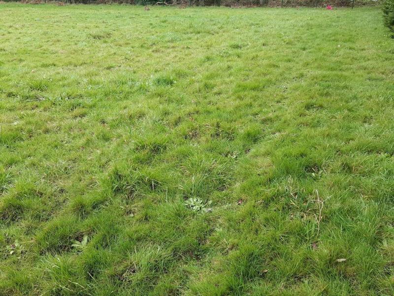 Terrain constructible - 1 168 m²