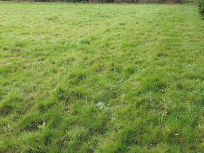 Terrain constructible - 1 168 m²