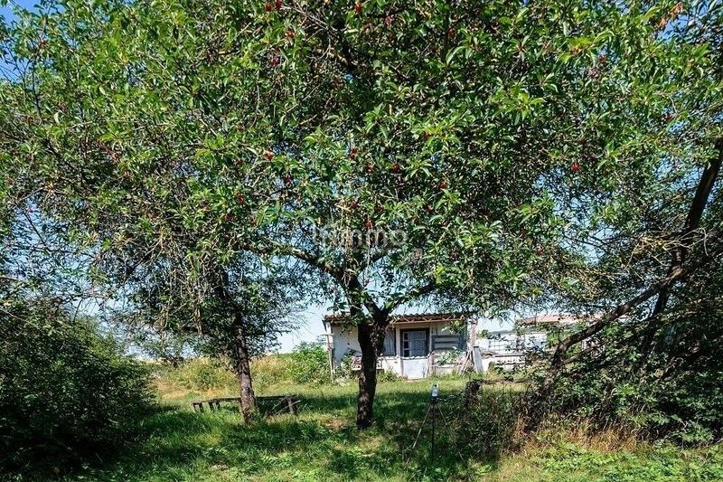 Terrain de loisirs - 2 550 m²