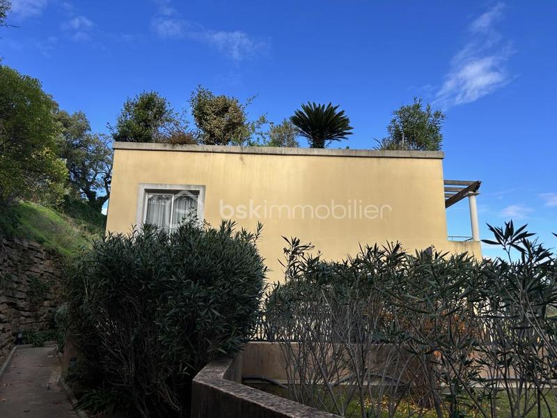 Studio - 23 m² - 1 pièce