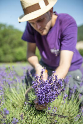 Distillerie des 4 Vallées