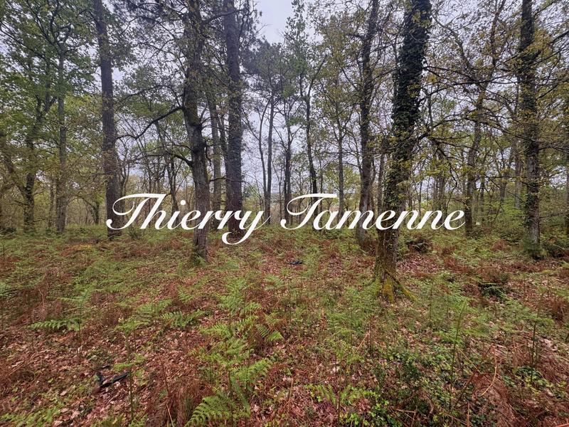 Terrain - 48 400 m²