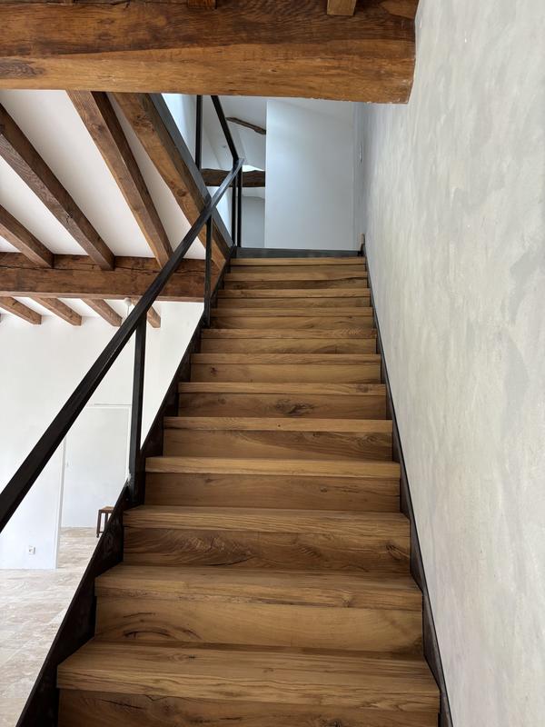 Maison traditionnelle - 335 m² - 9 pièces