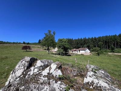 Propriété - 400 m² - 20 pièces