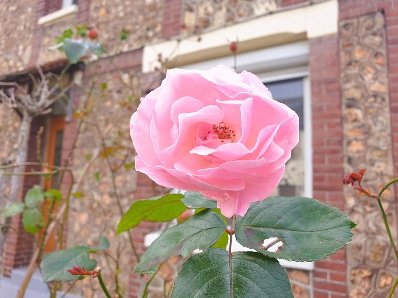 Maison - 127 m² - 6 pièces