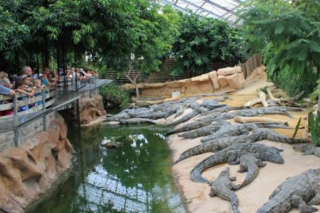 La Ferme aux Crocodiles