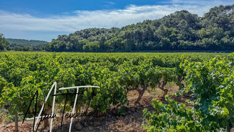 Terrain agricole - 33 300 m²