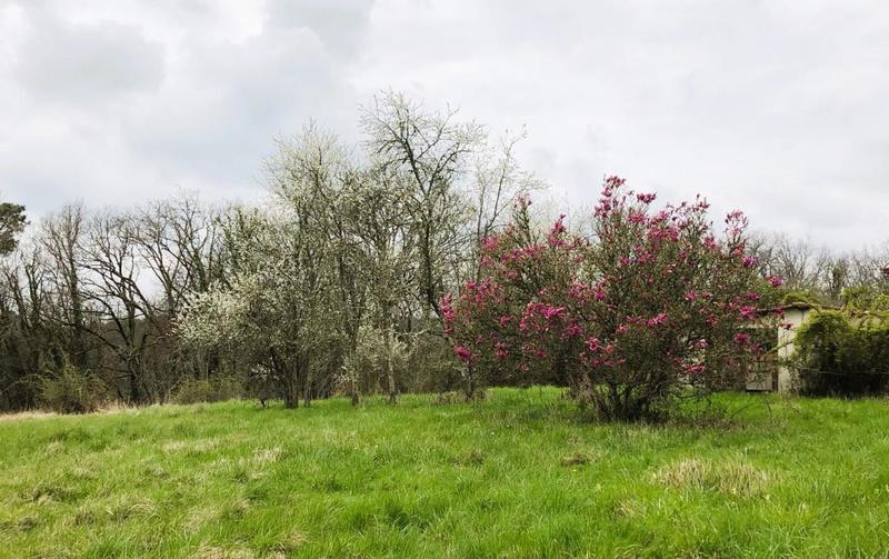 Corps de ferme - 175 m²