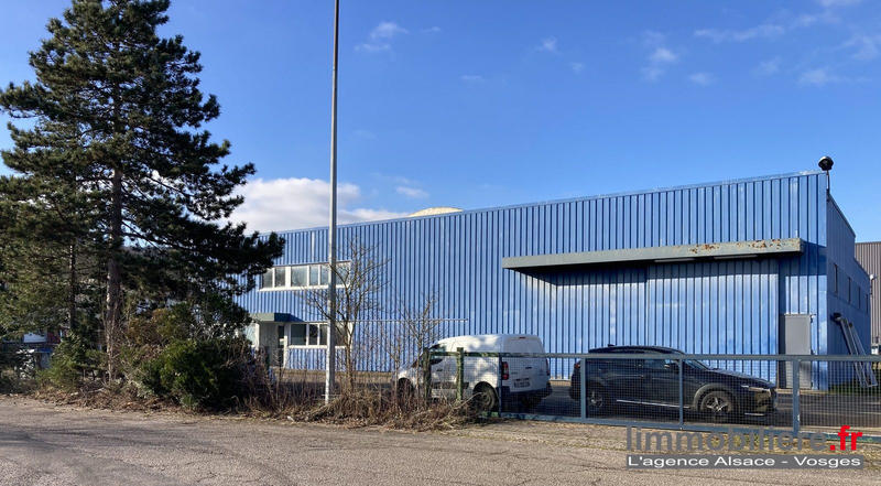 Local d'activités - 600 m²