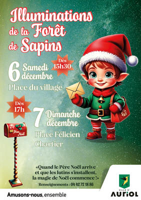 Illuminations de la forêt de sapins à Auriol