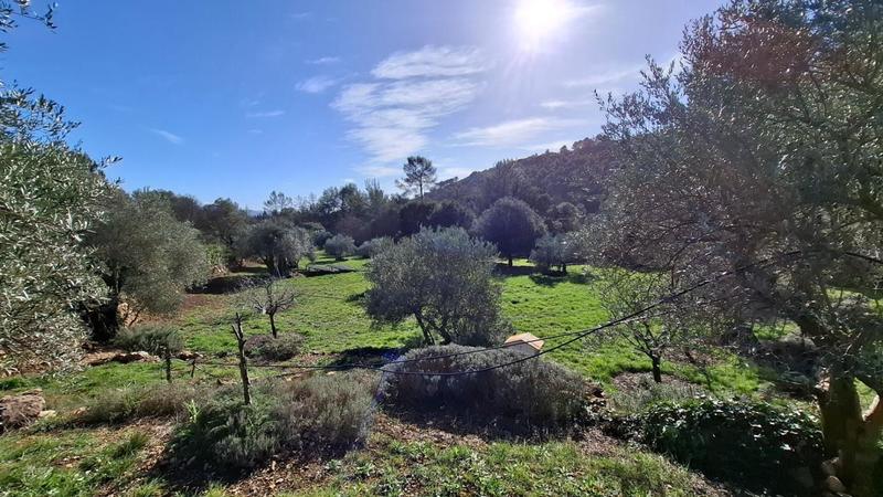 Terrain de loisirs - 3 370 m²