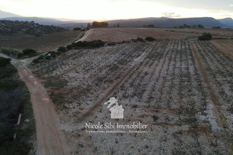 Terrain agricole - 4 820 m²