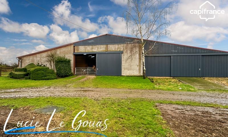 Haras - 239 m² - 9 pièces