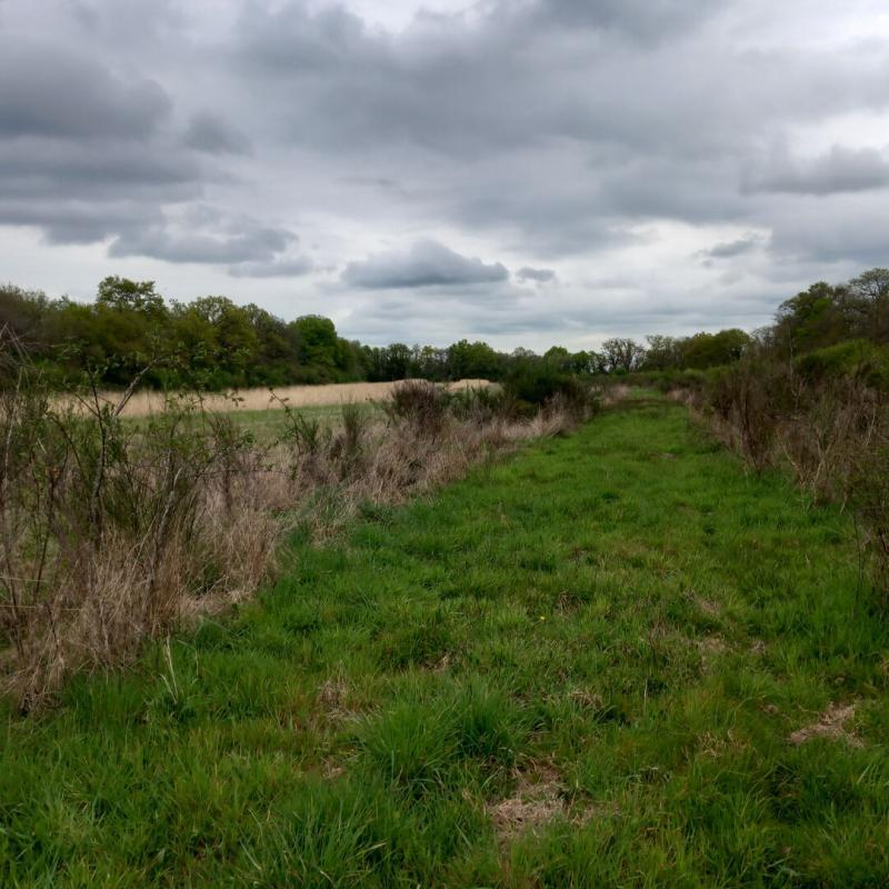 Terrain - 464 000 m²