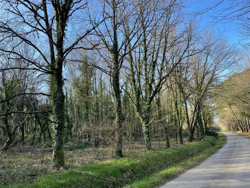 Terrain de loisirs - 11 290 m²