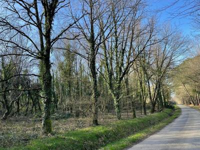 Terrain de loisirs - 11 290 m²