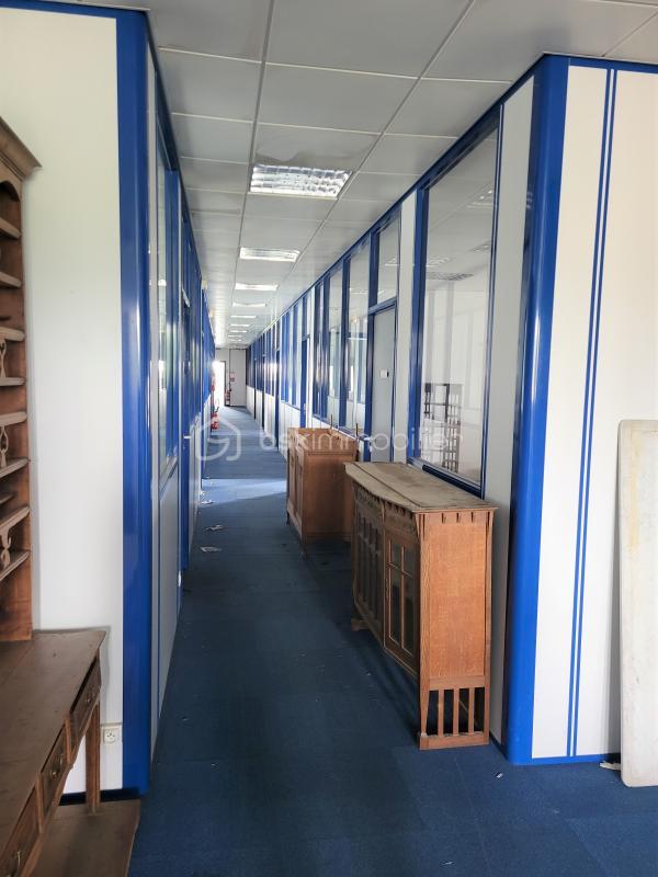 Local commercial - 800 m² - 13 pièces