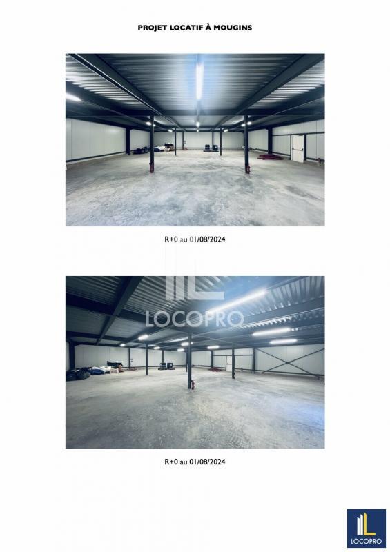 Local d'activité / Entrepôt - 600 m²