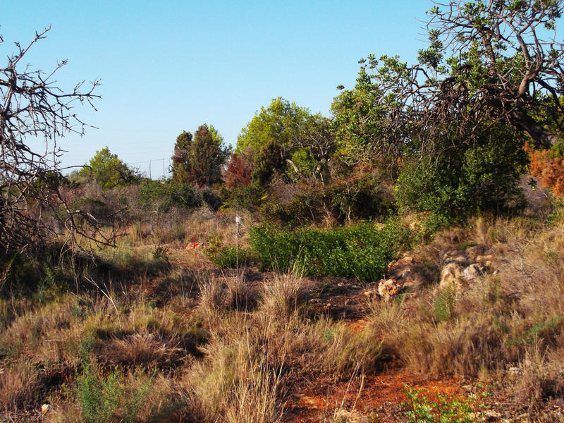 Terrain - 16 000 m²