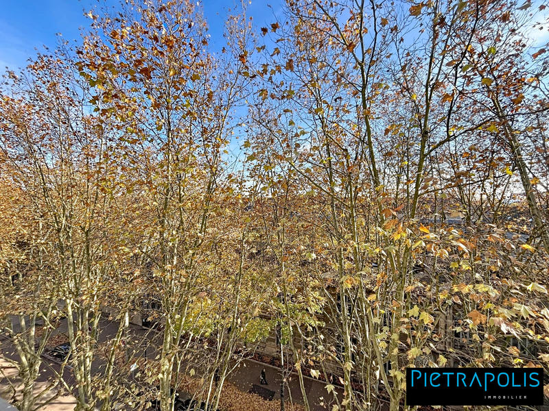 Appartement - 18 m² - 1 pièce