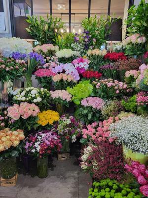 Fonds de commerce - Magasins - 50 m²