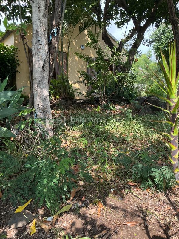 Maison - 55 m² - 3 pièces