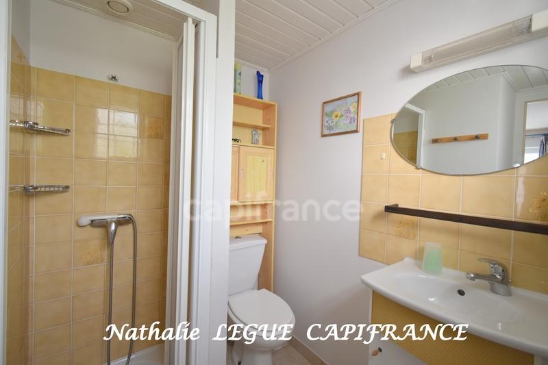 Studio - 25 m² - 1 pièce