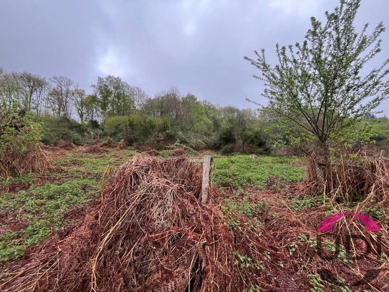 Terrain - 31 689 m²